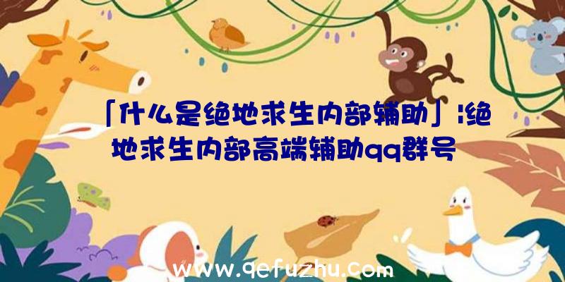 「什么是绝地求生内部辅助」|绝地求生内部高端辅助qq群号